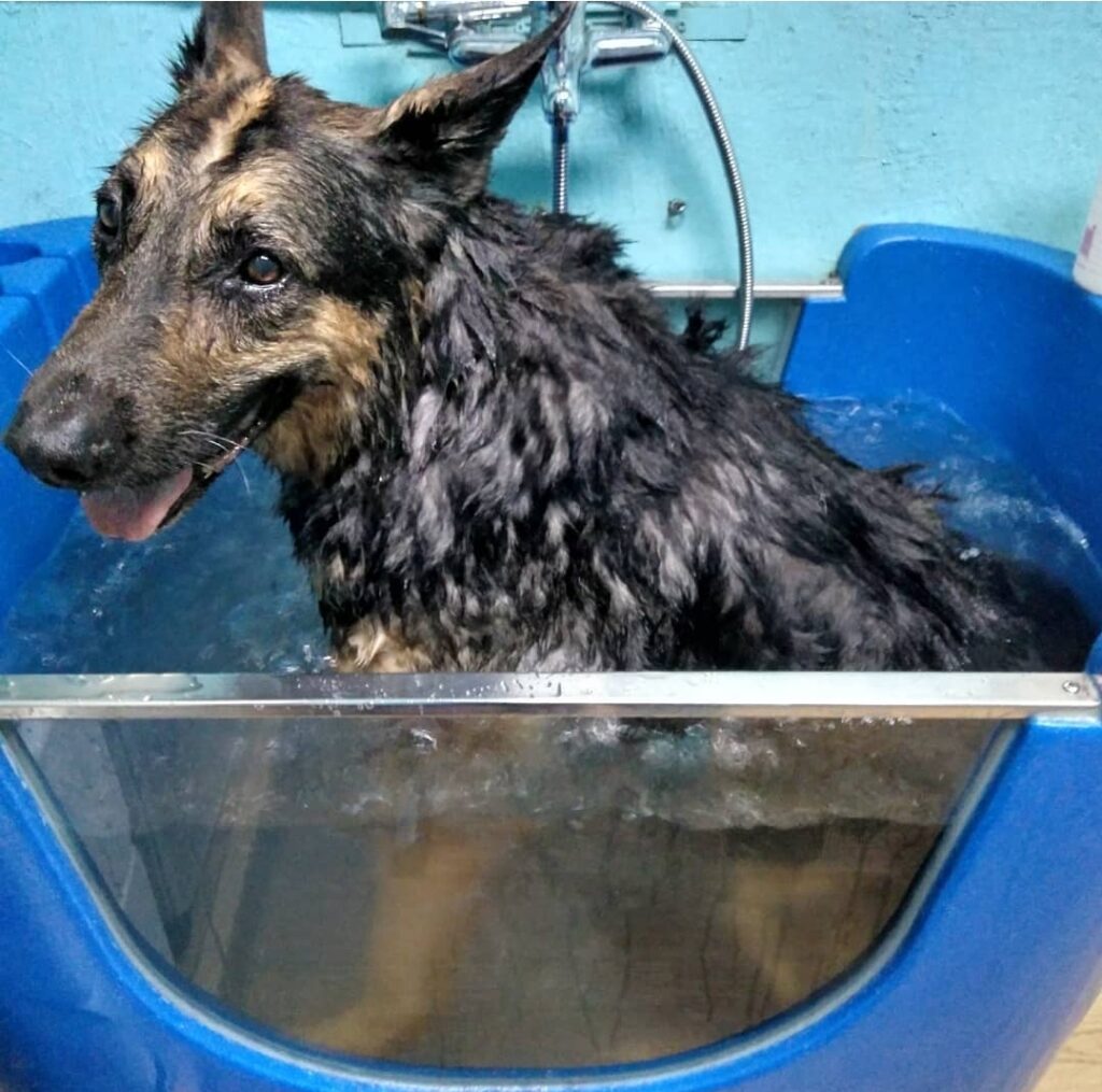 spa spa
